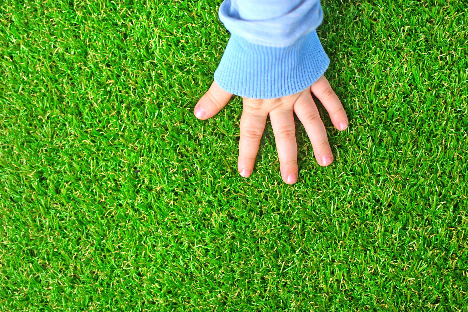 Photo of artificial turf