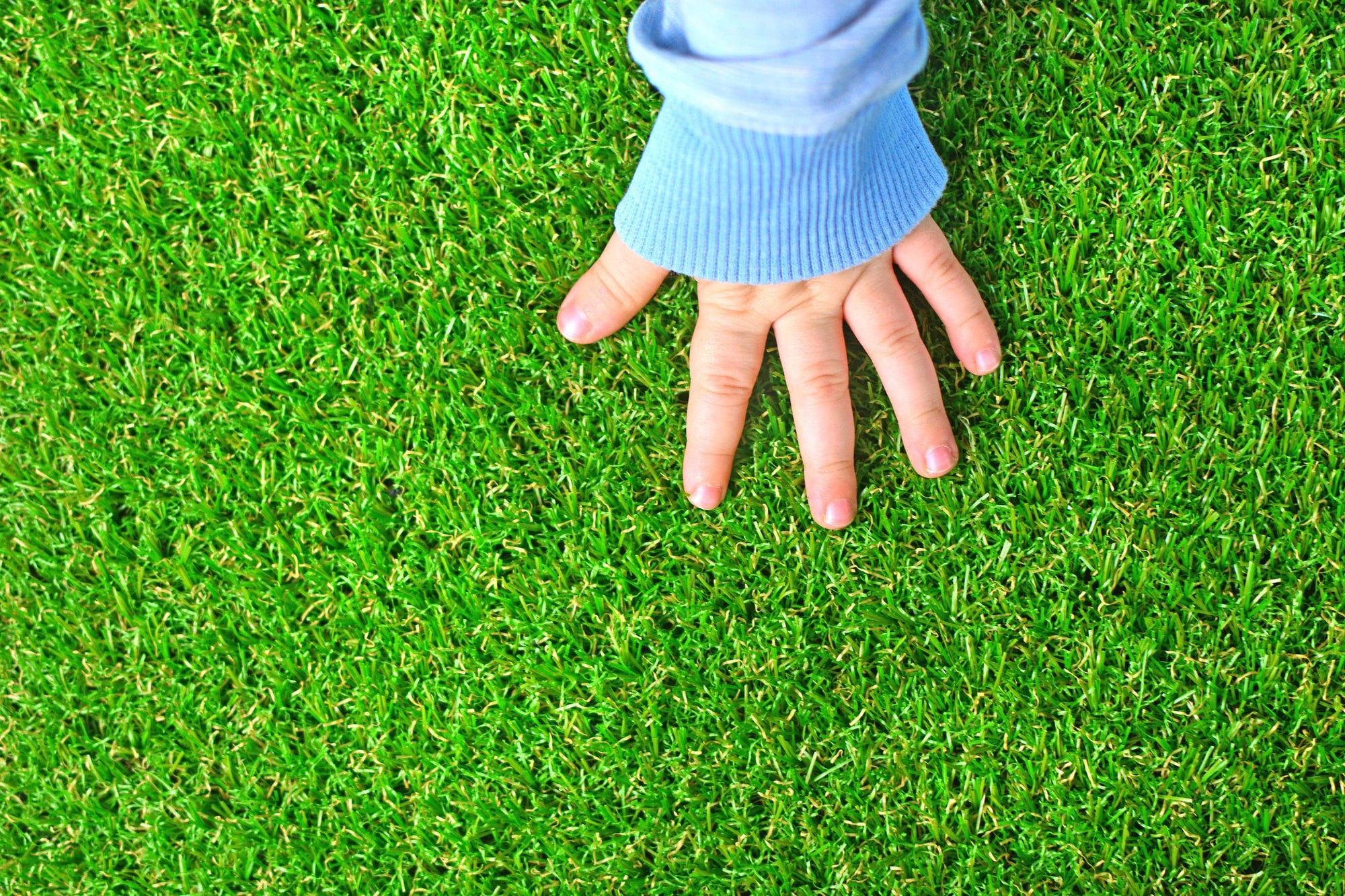 Photo of artificial turf